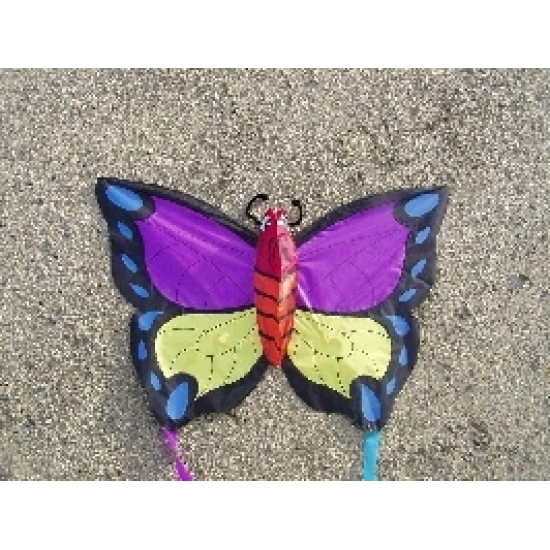 Didak 16343 Pinky Winky Butterfly