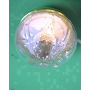 CL001  Round Clear Ceiling Light