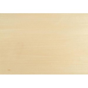 Basswood 6mm x 100mm x 915mm (5)