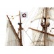 12003 Golden Hind