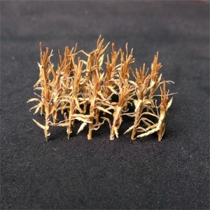 N Gauge Dried Corn Stalks 00927 (24)