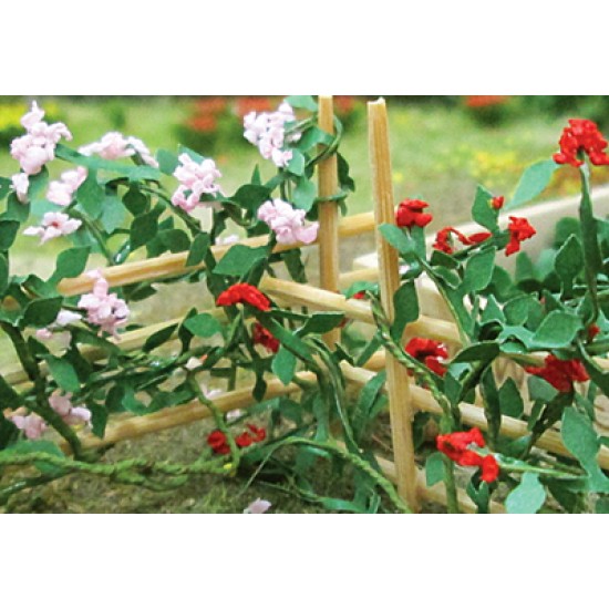 Climbing Roses 00678 (6) Due August 2025