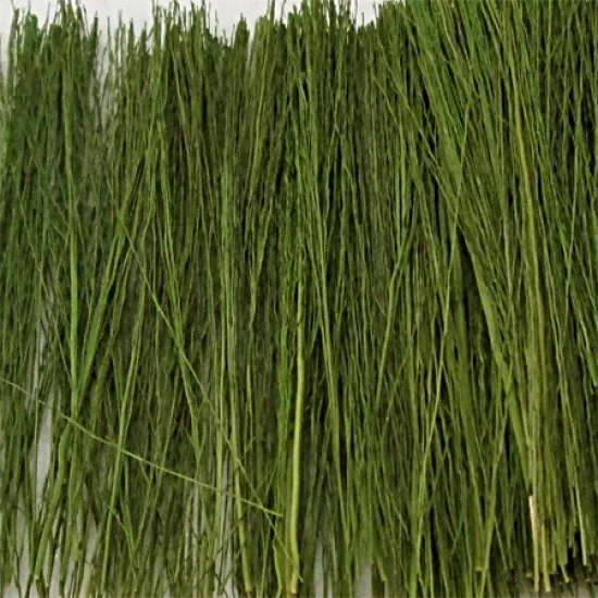 Field Grass Light Green 00893 (15g) Field Grass Light Green 00893 (15g)