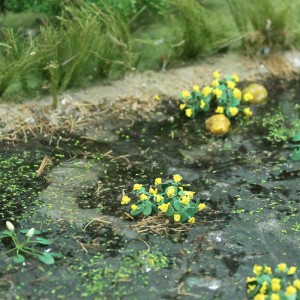 Marsh Marigold 00376 (14 per pack)