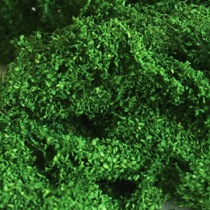 Foliage Cluster Medium Green 00891