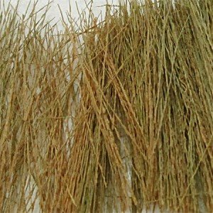 Field Grass Natural Brown 00895 (15g)