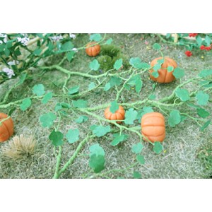 Pumpkins 00681 (6)