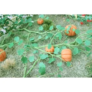 Pumpkins 00681 (6)