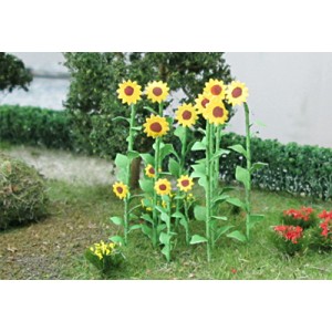 Sunflowers 00676 (16)