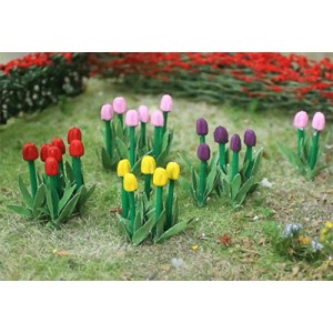 Tulips 00675 (44)