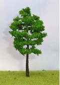 Realistic Trees