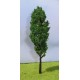 TO40L Poplar - Light Green (3) 40mm