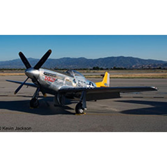 Revell 03944 P-51D Mustang