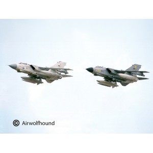 Revell 03801 Tornado 50th Anniversary Twinpack - New (June)