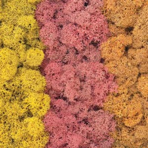 Lichen 012.050 Autumn Mix 50g (ER.1012)